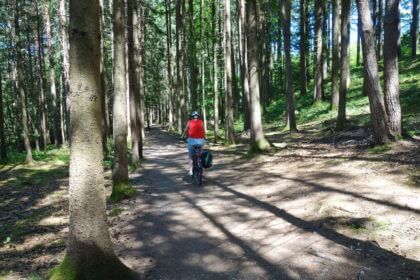 Waldweg am Hartsee