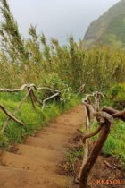 Wanderweg als Alternative zur Seilbahn von Achadas da Cruz