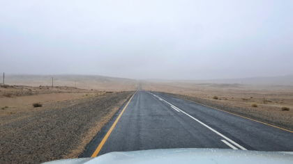 Regen und Nebel in der Namib
