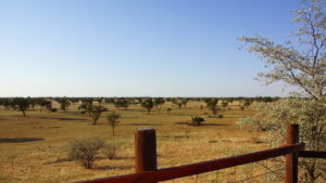 Blick von der Terrasse auf die Kalahari